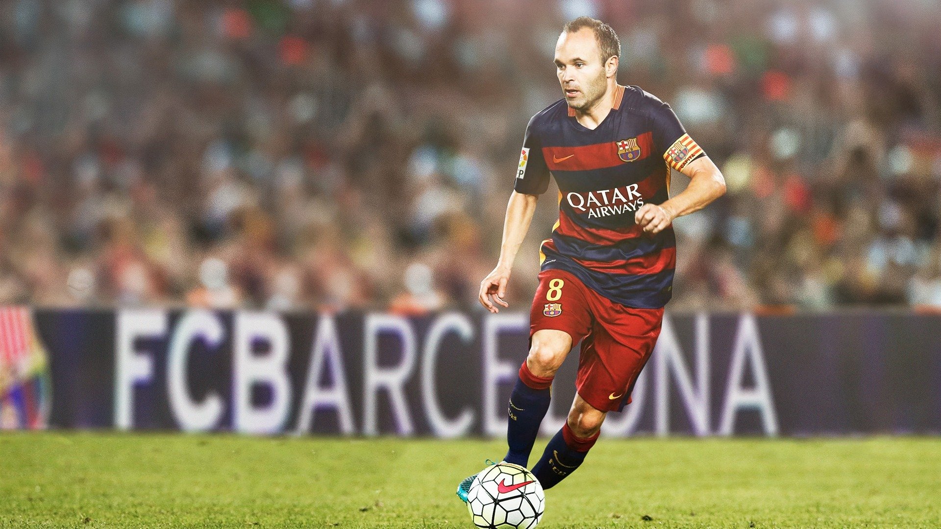 布莱顿进攻端火力凶猛，海鸥军团争夺欧战，布莱顿为什么叫海鸥