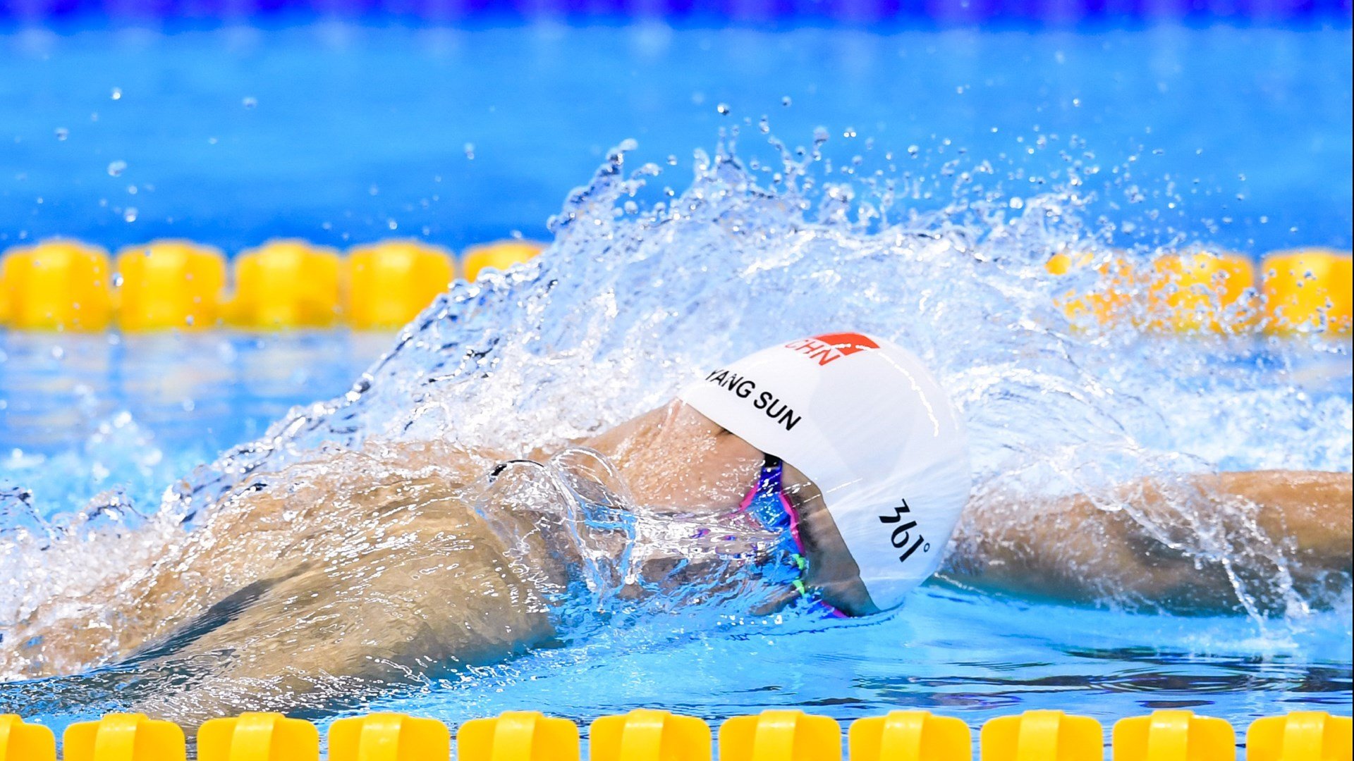 德国马术协会引入智能马鞍系统，实现实时数据监测与分析，提升骑乘体验。