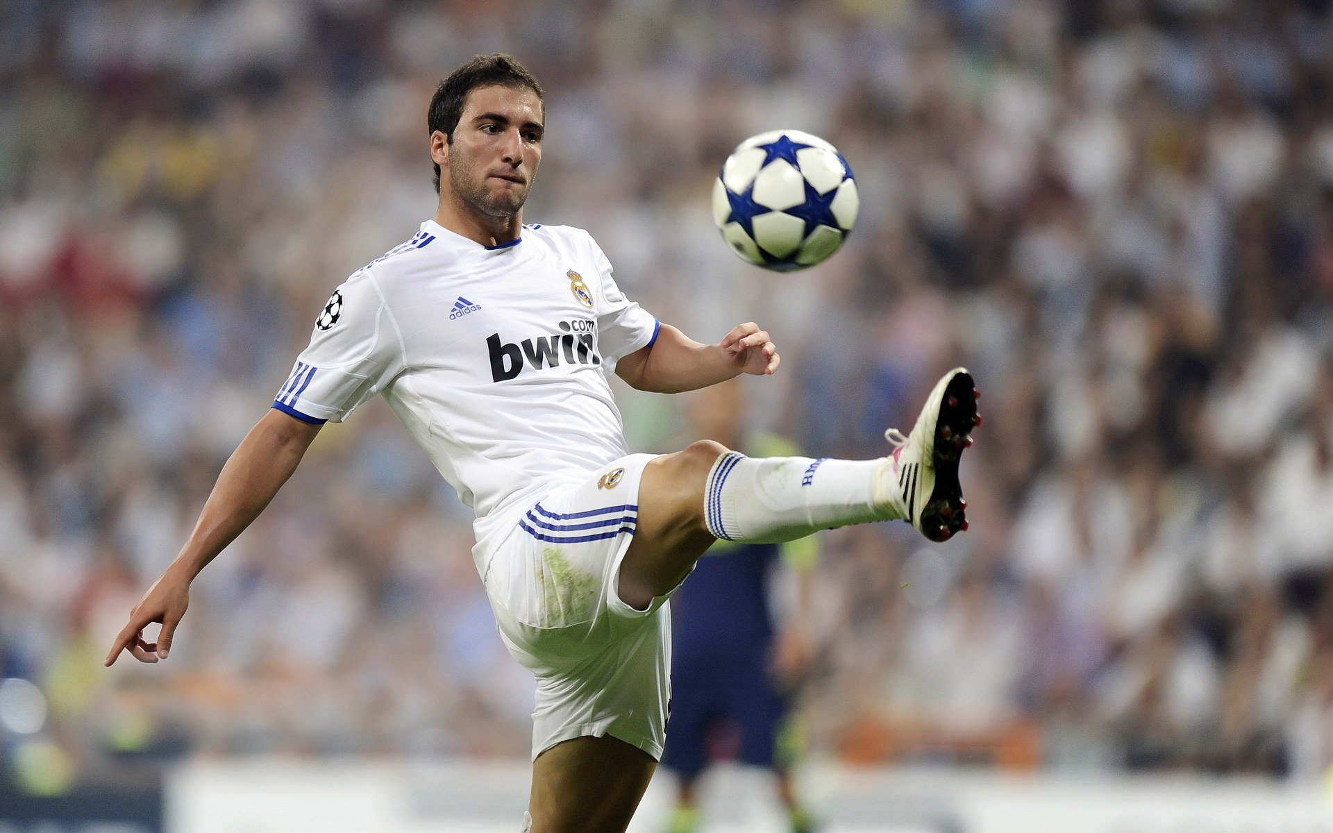 模拟赛车：F1技术走进电竞世界，f1模拟游戏