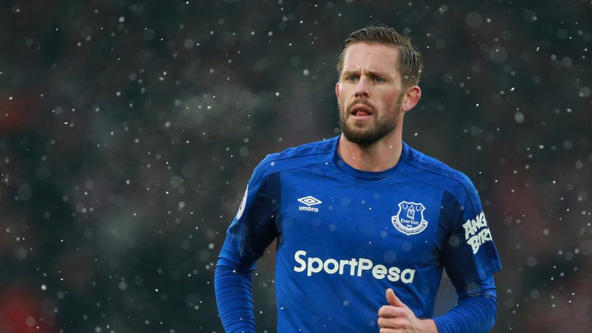 蓝军客场负于布莱顿，遭遇双杀，蓝军指的是哪个球队