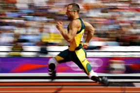 开云真人娱乐官网-_大自然跑步：森林、河谷、山脉的奔跑体验_，森林 跑步