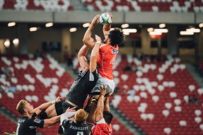 本土篮球明星成长轨迹，篮球明星历史